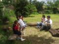 Da de picnic