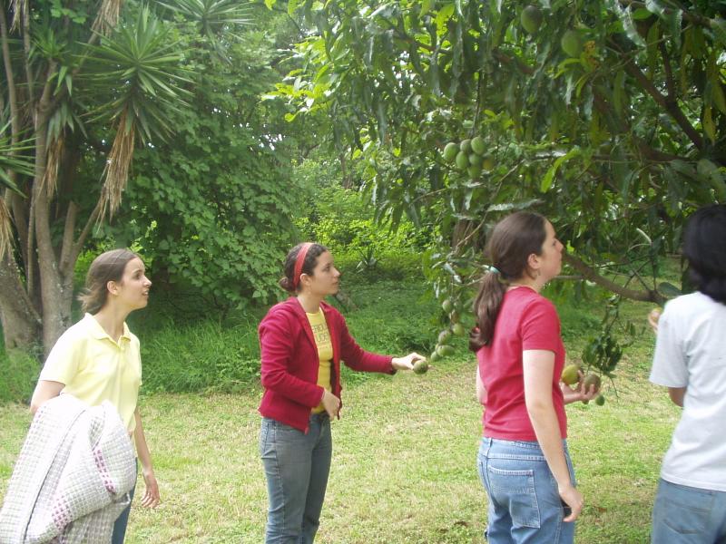 Uuyy, qu ricos mangos!