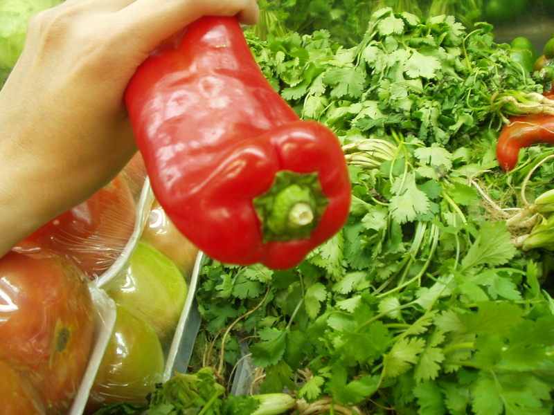 chiles/p1010012.jpg