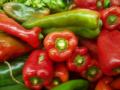chiles/p1010014.jpg