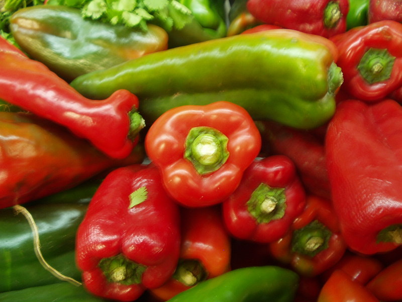 chiles/p1010014.jpg