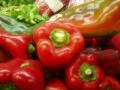 chiles/p1010015.jpg