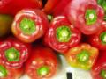 chiles/p1010021.jpg