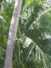 playas/p1010016.jpg