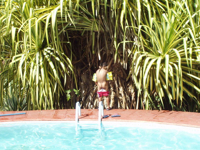 playas/p1010050.jpg
