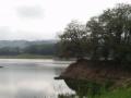 orosi/p1010010.jpg