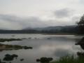 orosi/p1010012.jpg