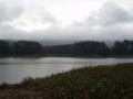 orosi/p1010022.jpg