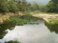 orosi/p1010026.jpg