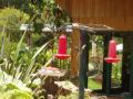 sangerardo/p1010029.jpg