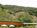 sangerardo/p1010035.jpg