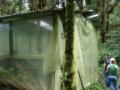 iyokami/p9240050.jpg