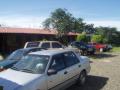 guanacaste/p1010003.jpg