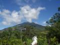 guanacaste/p1010004.jpg