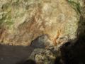 guanacaste/p1010013.jpg