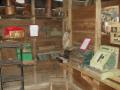 guanacaste/p1010016.jpg