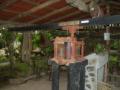 guanacaste/p1010022.jpg