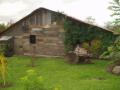 guanacaste/p1010023.jpg
