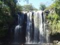 guanacaste/p1010025.jpg