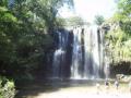 guanacaste/p1010026.jpg