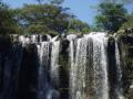 guanacaste/p1010027.jpg