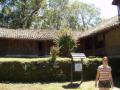 guanacaste/p1010048.jpg