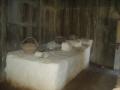 guanacaste/p1010049.jpg