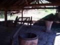 guanacaste/p1010050.jpg