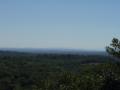 guanacaste/p1010058.jpg