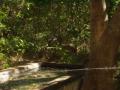 guanacaste/p1010069.jpg