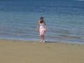 guanacaste/p1010081.jpg