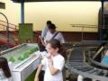 museo/p1010056.jpg