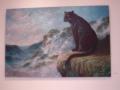 museo/p1010074.jpg