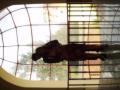 museo/p1010080.jpg