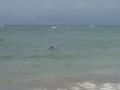 puertoviejo/p1010049.jpg