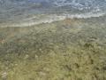 puertoviejo/p1010052.jpg