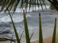 puertoviejo/p1010054.jpg