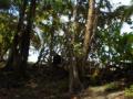 puertoviejo/p1010100.jpg