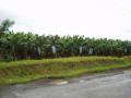 puertoviejo/p1010118.jpg