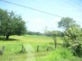 20060723-playas/pict0008.jpg