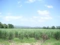 20060723-playas/pict0020.jpg