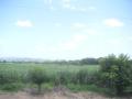 20060723-playas/pict0023.jpg