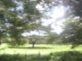 20060723-playas/pict0026.jpg