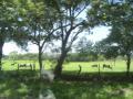 20060723-playas/pict0031.jpg
