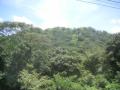 20060723-playas/pict0033.jpg