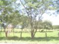 20060723-playas/pict0035.jpg