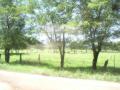 20060723-playas/pict0036.jpg