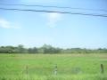 20060723-playas/pict0037.jpg