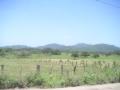 20060723-playas/pict0039.jpg