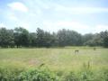 20060723-playas/pict0042.jpg